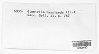 Gloniella byssiseda image